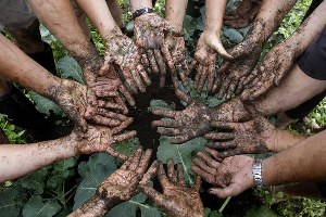 Türkiye de Organik Tarım Katlanarak Büyüyor