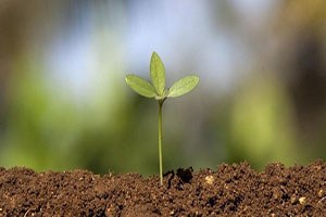 Dünya Toprak Günü