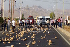Elektrik Abonelerine Anaparayı Öde Borçtan Kurtul Kampanyası
