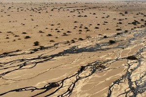 İsrail de çevre felaketi