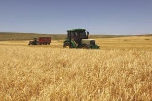 Kütahya da Kırsal Kalkınma Yatırımları