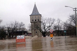 Sarayiçi Er Meydanı Sular Altında Hayvanlar Kurtarılmayı Bekliyor