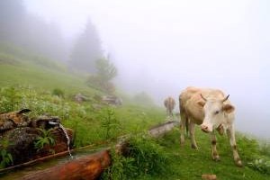 6 Tarım ve İnsan Fotoğraf Yarışması