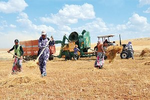 Tarımda Kayıt Dışı İstihdamla Mücadele Semineri Gerçekleştirilecek