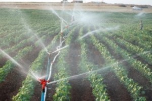 Çiftçiye Elektrik Borçlarını Ödeme Kolaylığı