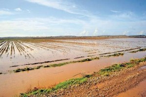 Ezine de Kuvvetli Yağış Dolayısıyla Tarım Arazileri Zarar Gördü