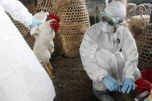 Tunceli de Kuş Gribi Bilgilendirme Toplantısı