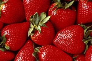 Mersin de çilek hasadı başladı