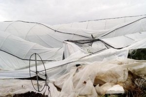 Finike de Hortum Seraları Vurdu