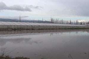 Ortaca da Tarım Arazileri ve Narenciye Bahçelerini Su Bastı