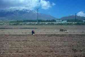 Adilcevaz da Sebze Ekim Hazırlıkları