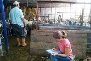 Canlı Hayvan Fuarı nda Ana Tema Güncelleme