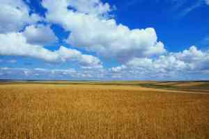 Kastamonu da Tarımsal Alanlar Azalıyor