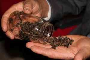 Şaşırtan Arı Ölümleri Masaya Yatırıldı