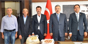 Aydın da Antep Fıstığı Üretimi Hızla Yaygınlaşıyor