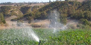 Beyşehir da Tarım Alanlarındaki Toplulaştırma ve Sulama Sorunları