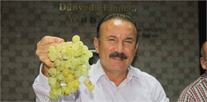 İzmit Üzüm Festivali Başlıyor