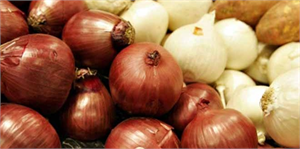 Soğan da Kuraklıktan Nasibini Aldı