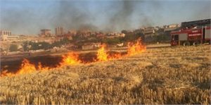 Batman da Anız Yakma ile Mücadele Sürüyor