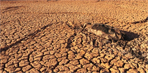 Konya da Kuraklık ve Çölleşme Sempozyumu Düzenlenecek
