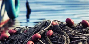 Marmara Denizi Hayalet Ağlardan Temizleniyor