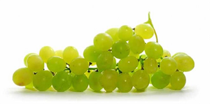 Manisa dan Yaş Üzüm İhracatının Yüzde 70 i Rusya ya Yapılıyor