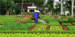 Batman da Aile Çiftçiliği semineri