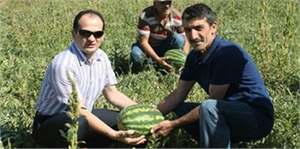 Bayburt ta Kavun Karpuz Hasadı Yüz Güldürüyor