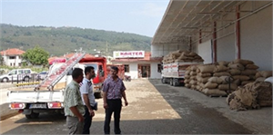 Düzce de Tarımda Ağustos Dolu Dolu Geçti