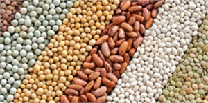 Güneydoğu nun Hububat Bakliyat ve Yağlı Tohum İhracatı Azaldı