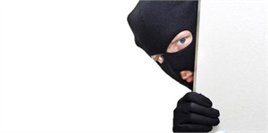 Hakkari de Hayvan Hırsızlığı Projesi