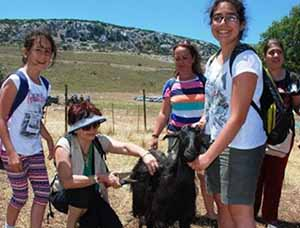 Karaburun Kıl Keçisi Panayır da Sergilenecek