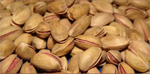 Gaziantep Yeşil Altına Sahip Çıkıyor