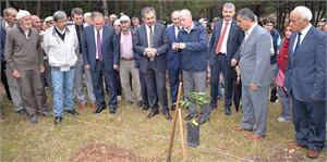 Bolu da 200 Adet Ceviz Fidanı Dikildi