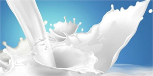 Süt Ekonomisi İzmir de Masaya Yatırılıyor