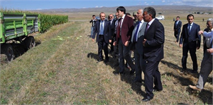 Arpaçay da Tarla Günü