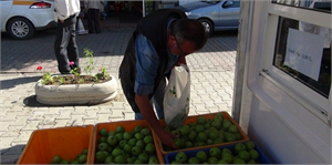 Bağcılık Araştırma İstasyonunun Organik Elması Büyük İlgi Gördü