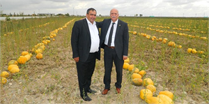 Aksaray Çerezlik Kabak Üretiminde Türkiye de 3 üncü Sırada