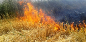 Güneştekin ten Anız Yakmayın Uyarısı