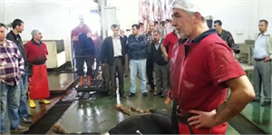 Kurbana Eziyetin Cezası 2 Bin 281 Lira