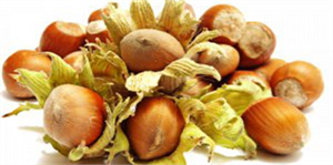 Samsun da Organik Fındık Üretimi Yüz Güldürmeye Aday