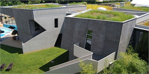 Sel ve Küresel Isınmaya Karşı Bitkilendirilmiş Çatı