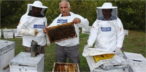 Kocaeli Büyükşehir in Dağıttığı Arılar İlk Ürünü Verdi
