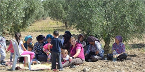 Somalı Köylülerin Zeytinlik Nöbeti