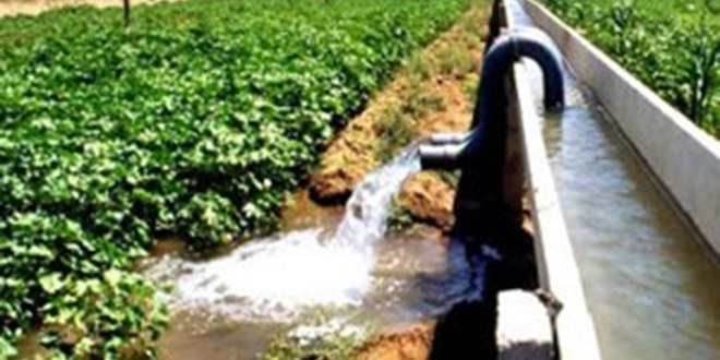 Çatak Projesiyle Tarımsal Araziler Genişletilecek