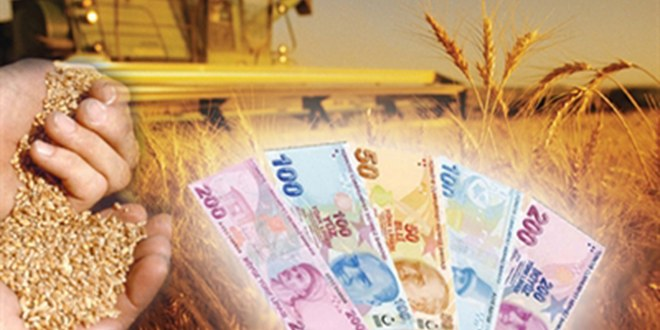 Organik Tarıma Destekleme Ödemesi Yapılacak