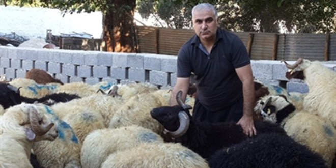 Ceyhan da Kurbanlık Fiyatları Açıklandı