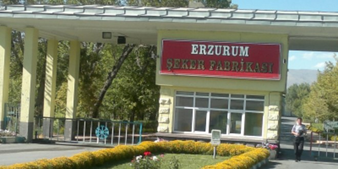 Erzurum da Günlük 500 Ton Şeker Üretilecek
