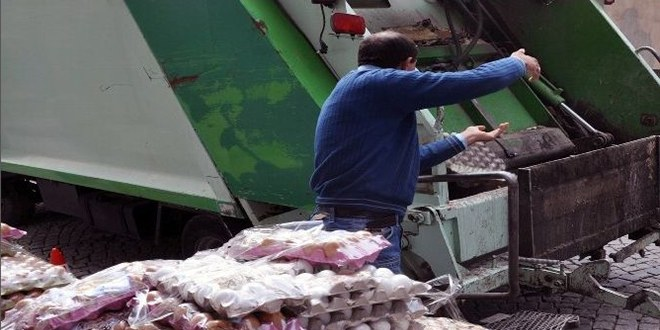 Gümüşhane de 10 Bin Yumurta İmha Edildi