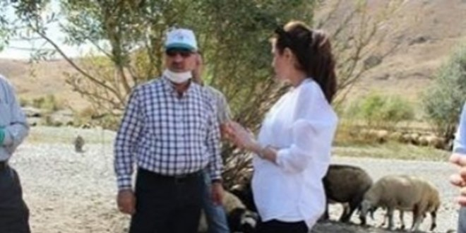 Hakkari de Hayvan Sağlığı Taraması Yapıldı